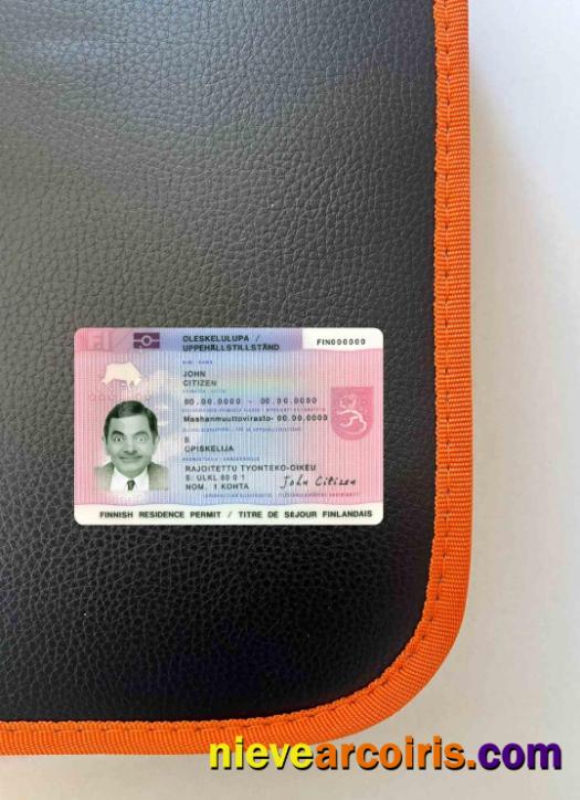 Finland residence permit photolook